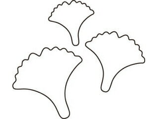 KANDA カンダ たかもりの生抜 3PC 銀杏