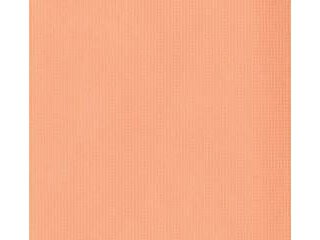フジイナフキン 【代引不可】オリビア　テーブルクロス　ロール　1000mm×100m　オレンジ