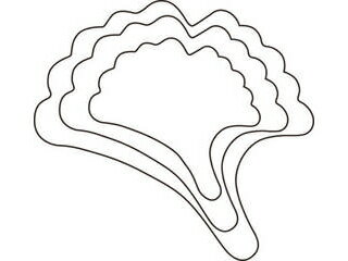 ※こちらの商品は【大】のみの単品販売になります。 たかもりの野菜抜 銀杏 大 #3