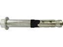 fischer フィッシャー ボルトアンカー FH2 10/50 B (50本入) 503144(4)