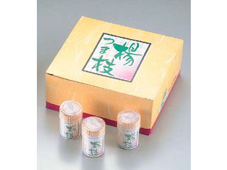 IZUMO CHIKUZAI 出雲竹材工業所 容器入　妻楊枝　30号（30パック入）