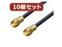 変換名人 変換名人 【10個セット】 アンテナ 4Cケーブル 30cm X 2pcs F4-30x2X10