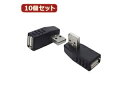 変換名人 変換名人 【10個セット】 変換プラグ USB A 右L型 USBA-RLX10