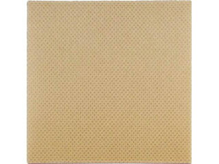 TRUSCO/ȥ饹滳 ꥫ 10cmX25cm 2 ٥󥵡դ TSCPP-B-1025