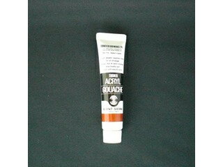 ターナー色彩 アクリルガッシュ 11CC バーントシェナー AG011034 11ml A色