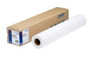EPSON エプソン SureColor用 プロフェッショナルフォトペーパー(薄手光沢)/約1030mm幅×30.5m PXMCB0R12