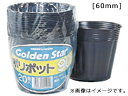 KINBOSHI キンボシ GS #7055 ポリポット 60mm 20入(4)