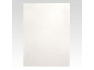 ARTE アルテ 【代引不可】【5枚セット】ニューカラーボード 5mm B1 (ホワイト) BP-5CB-B1-WH