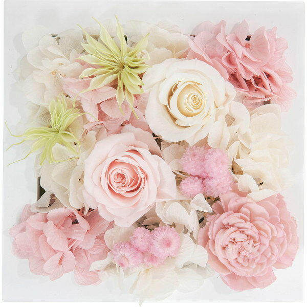 プリザーブドウォールフラワー(スクエア) ピンク