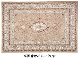 HAGIHARA ハギハラ メーカー直送代引不可 撥水加工付き　転写プリントラグ(約200×250cm)　ブルグ 240625920 メーカー直送 同梱不可 カード決済のみ対応 沖縄・北海道・離島お届け並びに時間指定不可