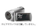 サンワサプライ DG-LC30WDV 液晶保護フ