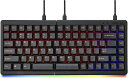 Mistel ミステル MD770 RGB エルゴノミック メカニカルキーボード 左右分離型 (英語配列/静音赤軸) ML-MD770R-U-SR/BK(2)