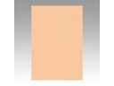 文運堂/ぶんうんどう 色画用紙 ニューカラー 8切 うすだいだい 8NCR-103 八ツ切 縦392×横271mm