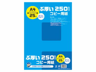 日本ノート ぶ厚いコピー用紙 A4判 250gsm 25枚入　PPC250A4