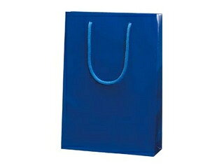 シモジマ HEIKO 紙袋 ブライトバッグ SWT 紺 1枚 幅225×マチ80×高320mm 006138208