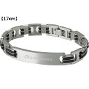 ファイテン Phiten チタンブレス メタックス ワイド 【17cm】 JX924004(4)