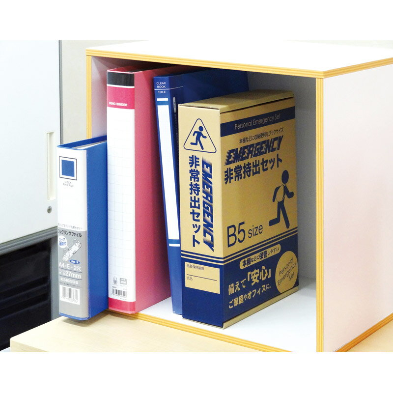 【2個セット】 パナソニック LEDネックライト(点滅機能付き) BF-AF11P-W BFAF11PW