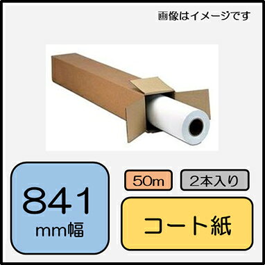 �������磻������ SPC-A0 ���顼�����Ȼ� A0x50m/81g/2��