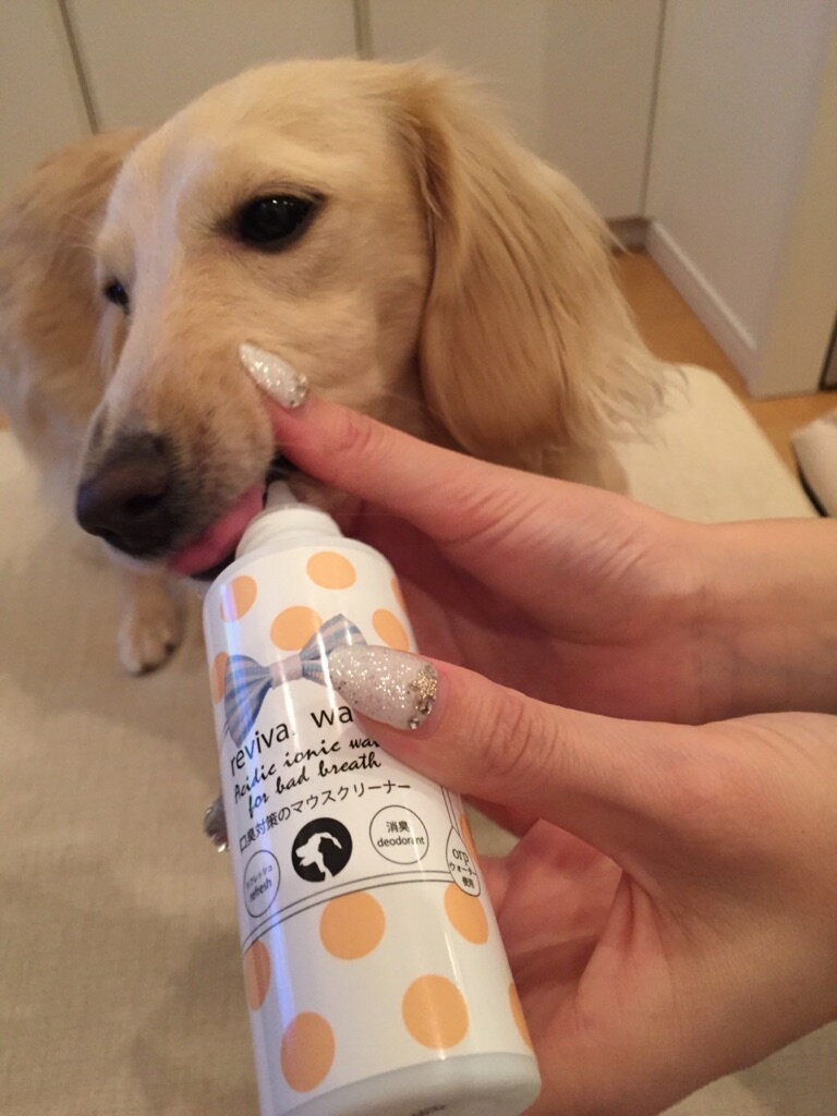 エムスタのO・R・P 株式会社 リバイバルウォーター マウスクリーナー 100ml｜アングル2