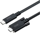 サンワサプライ USB Type-Cケーブル デュアルスクリューロック 2m PD240W対応 USB4 20Gbps 金メッキピン KU-20GCCPEDSL20(2)