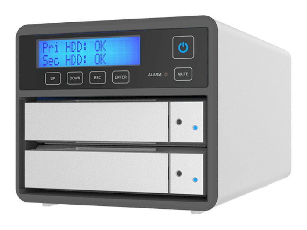 RAIDON TECHNOLOGY 2Bay USB3.2 Type-C եȥ졼 with USB C-A֥(С) SR...