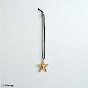 SQUARE ENIX スクウェア・エニックス キングダム ハーツ II つながりのお守りアクセサリー <テラ> 発売前予約 受注生産の為キャンセル不可 代引注文不可