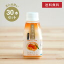 【まとめ買い・送料無料】 白神手づくり工房 乳酸菌甘酒 「白神ささら」 蜜柑 30本セット ノンアルコール フルーツ みかん 柑橘 かんきつ あまざけ 砂糖不使用 乳酸菌 GABA 米麹 米麹甘酒 健康 ヘルシー おいしい
