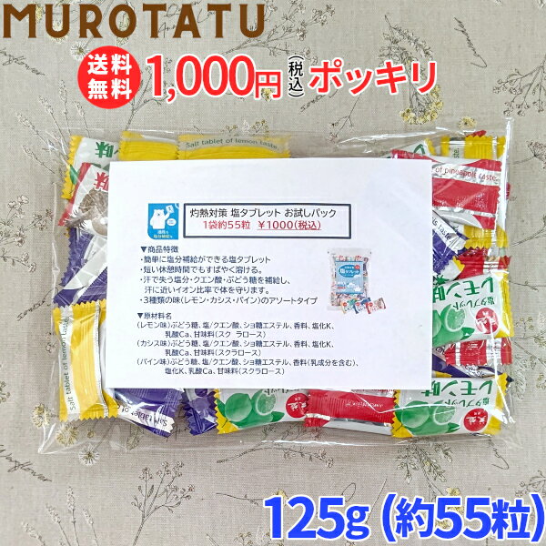 【お試し 1000円ポッキリ】 塩タブレット 約55粒 熱中症対策 灼熱対策 赤穂化成 夏 塩分補給 クエン酸 ブドウ糖 短時間補給 3種類 レモン味 カシス味 パイン味 美味しい スポーツ トレーニング 外出 アウトドア 暑さ対策