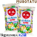 塩あめ 計2kg 【1kg×2袋セット】 塩アメ 熱中症対策 夏バテ予防 塩飴 天塩の塩あめ ミックス 業務用 赤穂化成 塩分補給 熱中症 4種類 ブドウ味 日向夏味 パイン味 レモン味 約250粒入 スポーツ トレーニングアウトドア 作業現場 農作業 あす楽 暑さ対策