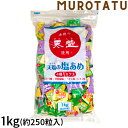 塩飴 【送料無料】天塩の塩あめ ミックス 1kg 業務用 おいしい 熱中症対策 赤穂化成 塩分補給 熱中症 夏 4種類 ブドウ味 日向夏味 パイン味 レモン味 約250粒入 スポーツ トレーニング 外出 アウトドア 暑さ対策