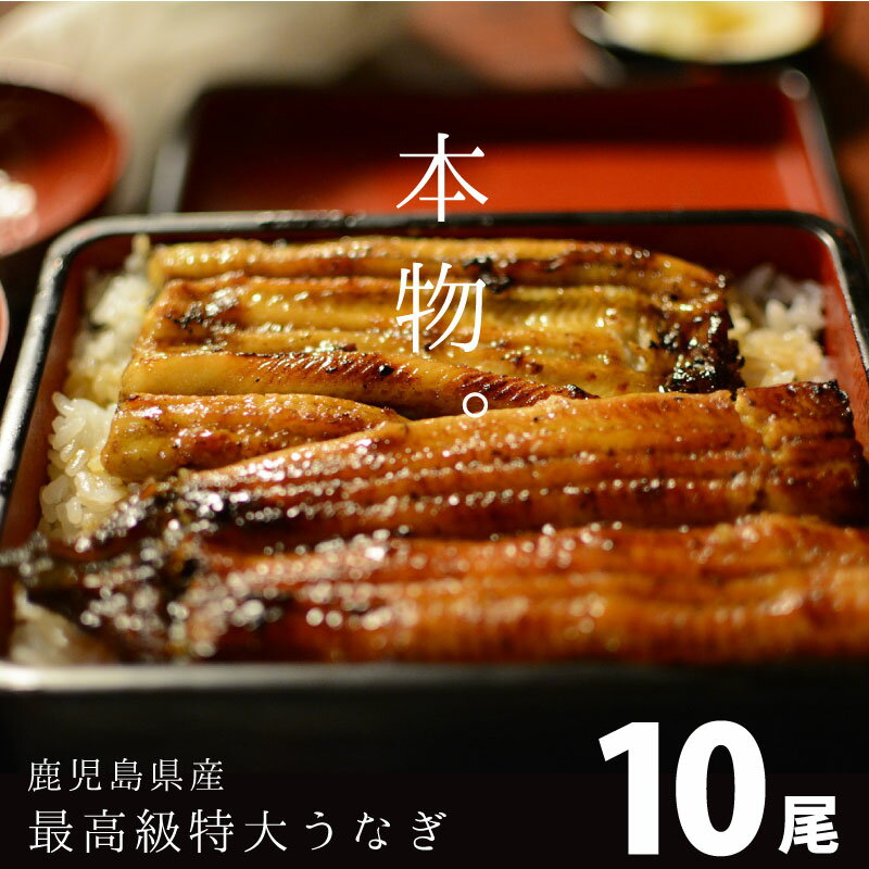 最高級うなぎ 特大10尾 ギフト 内祝 お取り寄せ 丑の日 鹿児島鰻 送料無料 高級鰻 生産量全国1位 特賞 国産うなぎ蒲焼き 鹿児島県産