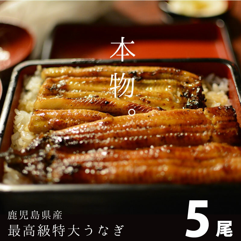 最高級うなぎ 特大5尾 うなぎ 鰻 ギ