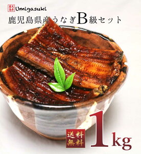 国産うなぎ 訳あり 1kg B級品 お取り寄せ バレンタインギフト ギフト 内祝 蒲焼き 丑の日 鹿児島県産 送料無料 高級鰻 生産量全国1位 特賞 国産うなぎ蒲焼き