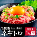 ねぎとろ お徳用 大容量 1kg 2袋 ネギトロ 天然マグロ 手巻き寿司 マグロ 鮪 まぐろ お取り寄せ 内祝 寿司 軍艦 送料無料 食べ物 食品 お取り寄せグ...