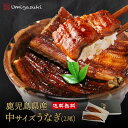最高級うなぎ 中サイズ 2尾 うなぎ 鰻 国産 国産うなぎ 内祝 鹿児島県産 お取り寄せ 蒲焼き 丑の日 鹿児島鰻 送料無料 高級鰻 生産量全国1位 特賞 お中元 真空パック 冷凍 グルメ 食べ物 高級ギフト 産地直送 ギフト