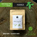 【メール便（3個まで）】田中製茶園 「ハーブ入り煎茶 ハッカ」 農薬不使用 化学肥料不使用 香料不使用 狭山 煎茶 オーガニック日本薄..