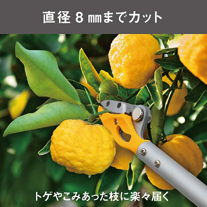 剪定ばさみ 収穫ばさみ 園芸 果実収穫 花 野菜 収穫鋏 園芸用品 ガーデニング 家庭...