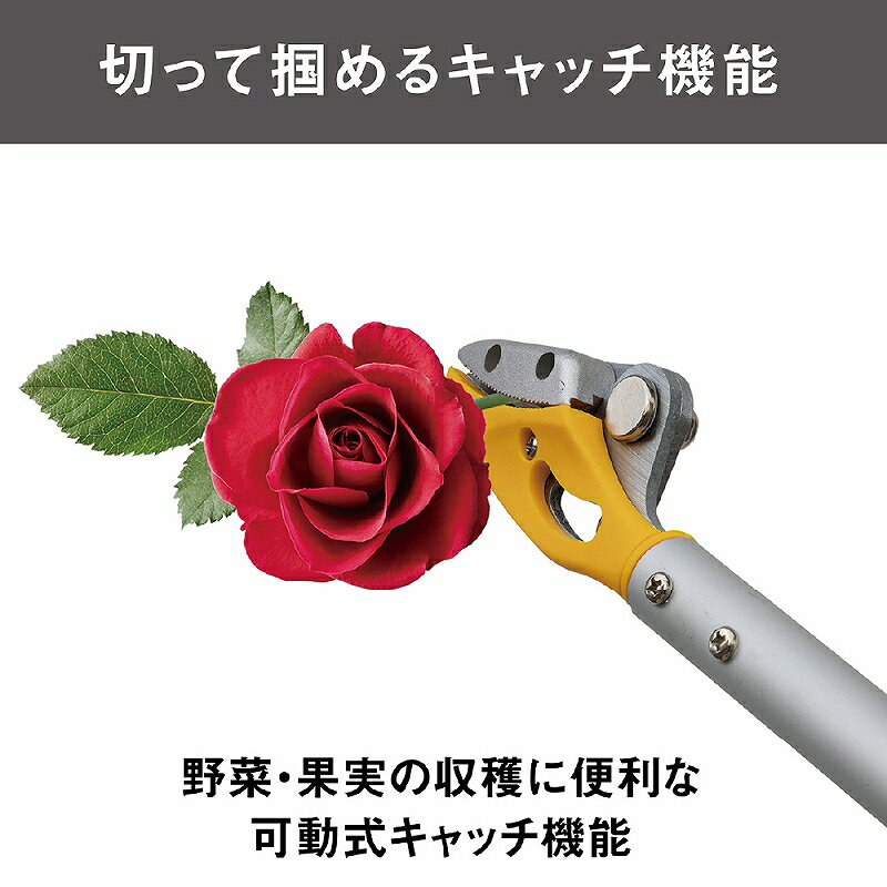 剪定ばさみ 収穫ばさみ 園芸 果実収穫 花 野菜 収穫鋏 園芸用品 ガーデニング 家庭...