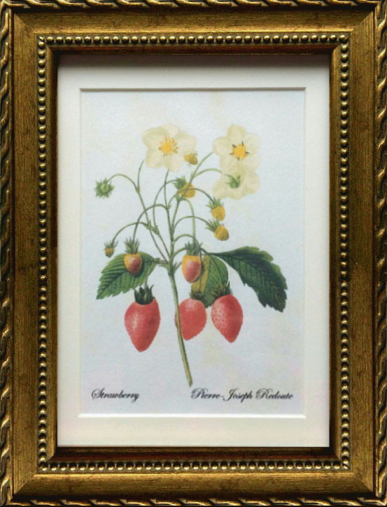 Pealimo インテリア 絵画 植物 ピエール ジョゼフ ルドゥーテ Sサイズ 3サイズシリーズ 22cm×17cm 『Strawberry』花 絵 額装品 ボタニカルアート ルデューテ 額縁 花絵 フレーム 額入り ポスター おしゃれ 工芸品 クラフト