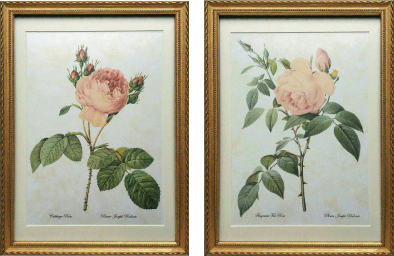 Pealimo Lサイズ『バラ2種』お得セット インテリア 絵画 植物 ばら 薔薇 ピエール ジョゼフ ルドゥーテ 花額絵 額装品 Pierre Joseph Redoute ボタニカルアート 植物画 花 額縁 レトロ 花絵 フレーム ルデューテ 額入り ポスター おしゃれ 工芸品 クラフト