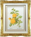 Pealimo ピーリモ インテリア 絵画 植物 ピエール ジョゼフ ルドゥーテ 約47cm×40cm『Yellow Rose』花 絵 額装品 ボタニカルアート...