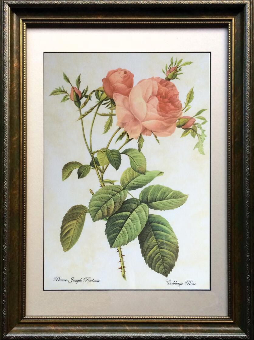 pealimo Eris（エリス）シリーズ インテリア 絵画 植物 ピエール ジョゼフ ルドゥーテ ボタニカルアート 植物画 『Cabbage Rose』薔薇 バラ 42cm×31cm花額絵 おすすめ額装品 Pierre Joseph Redoute 植物 花 額縁 レトロ 花絵 フレーム ルデューテ 額入り ポスター 工芸品