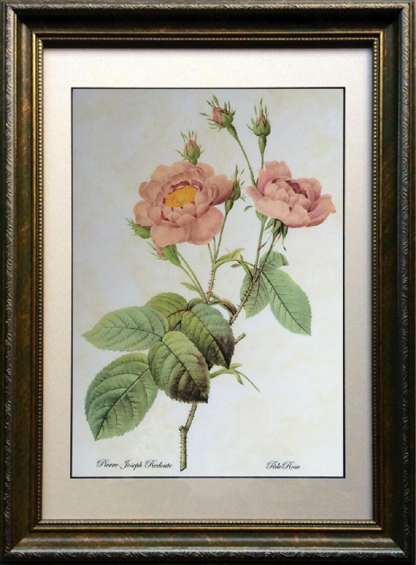 Rakuten - pealimo Eris（エリス）シリーズ インテリア 絵画 植物 ピエール ジョゼフ ルドゥーテ ボタニカルアート 植物画 『Pale Rose』薔薇 バラ 42cm×31cm花額絵 額装品 Pierre Joseph Redoute 植物 花 額縁 レトロ 花絵 フレーム ルデューテ 額入り ポスター 工芸品