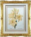 Pealimo ピーリモ インテリア 絵画 植物 ピエール ジョゼフ ルドゥーテ 約47cm×40cm『White Lily』花 絵 額装品 ボタニカルアート ...