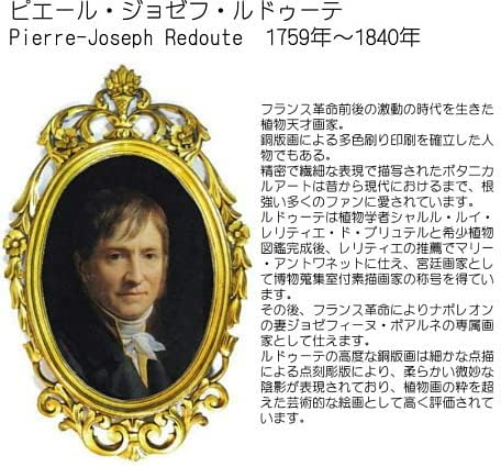 銀座まるかん 日本漢方研究所 正規品 水素若若美人5本 pealimo ピーリモ 額フレーム 『Tea Rose』SSサイズ1枚 セット 化粧品 美容品 斉藤一人 ひとりさん 美容化粧品 健康食品 健康サポート