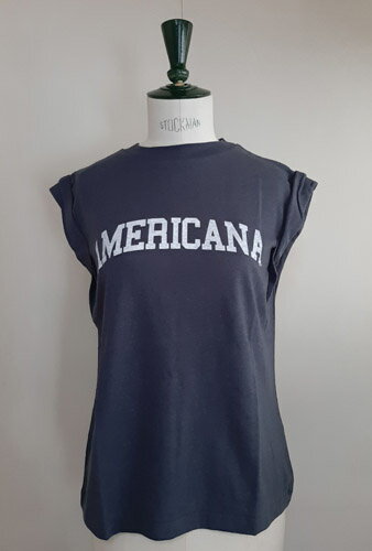 AmericanaAmericana-Tʥ֥å