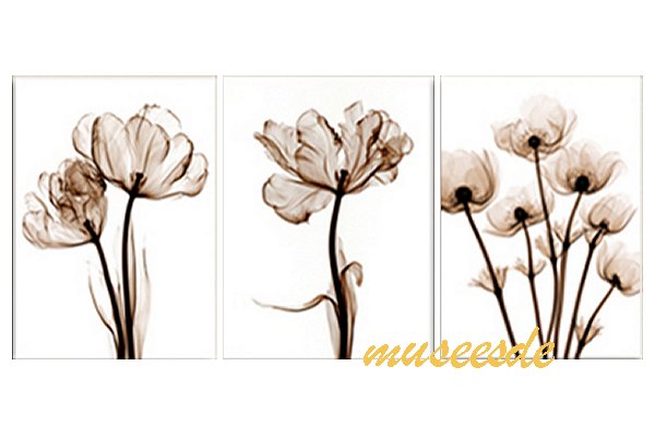 モダン　アート　壁掛け印刷　ポスター　フォトパネルインテリア 透明な花 アートパネルX線 (X-Ray) 3枚セット PX1B030