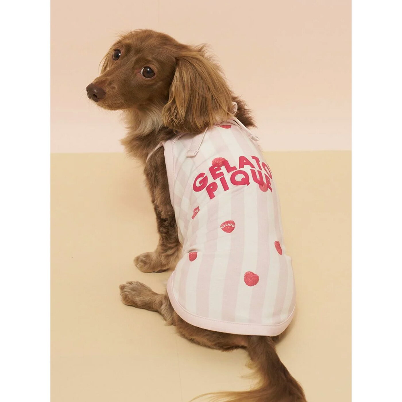 (15日限定ポイント最大10倍)ジェラートピケ gelato pique CAT&DOG 接触冷感 ダックスフンドサイズCoolingプルオーバー pagg262573 ジェラピケ ドッグウェア 犬用 小型犬 散歩 お出かけ 保冷剤ポケット ルームウェア 2026夏 ギフト セレクトショップムー【P10】 3