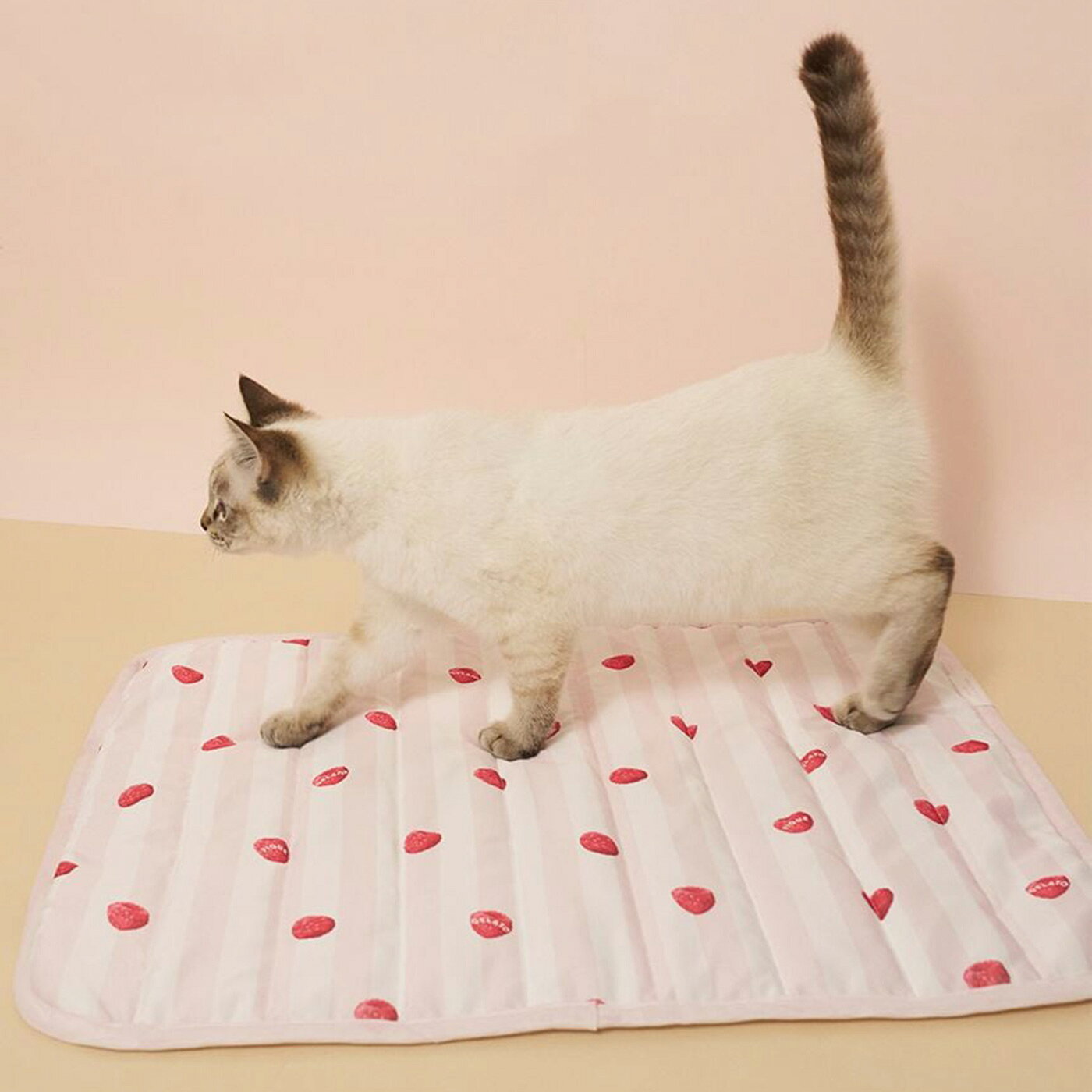 楽天市場】ジェラートピケ 猫（ベッド・マット・寝具｜犬用品