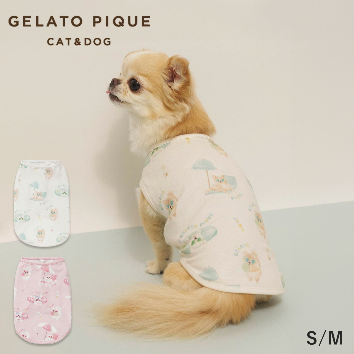 楽天市場】gelato pique マルチーズの通販